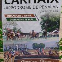 affiche courses hippiques