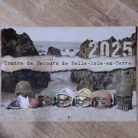 Calendriers des sapeurs-pompiers de Belle-isle-en-terre