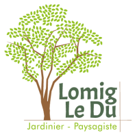 Création d'identité visuelle et du logo de Lomig Le Du